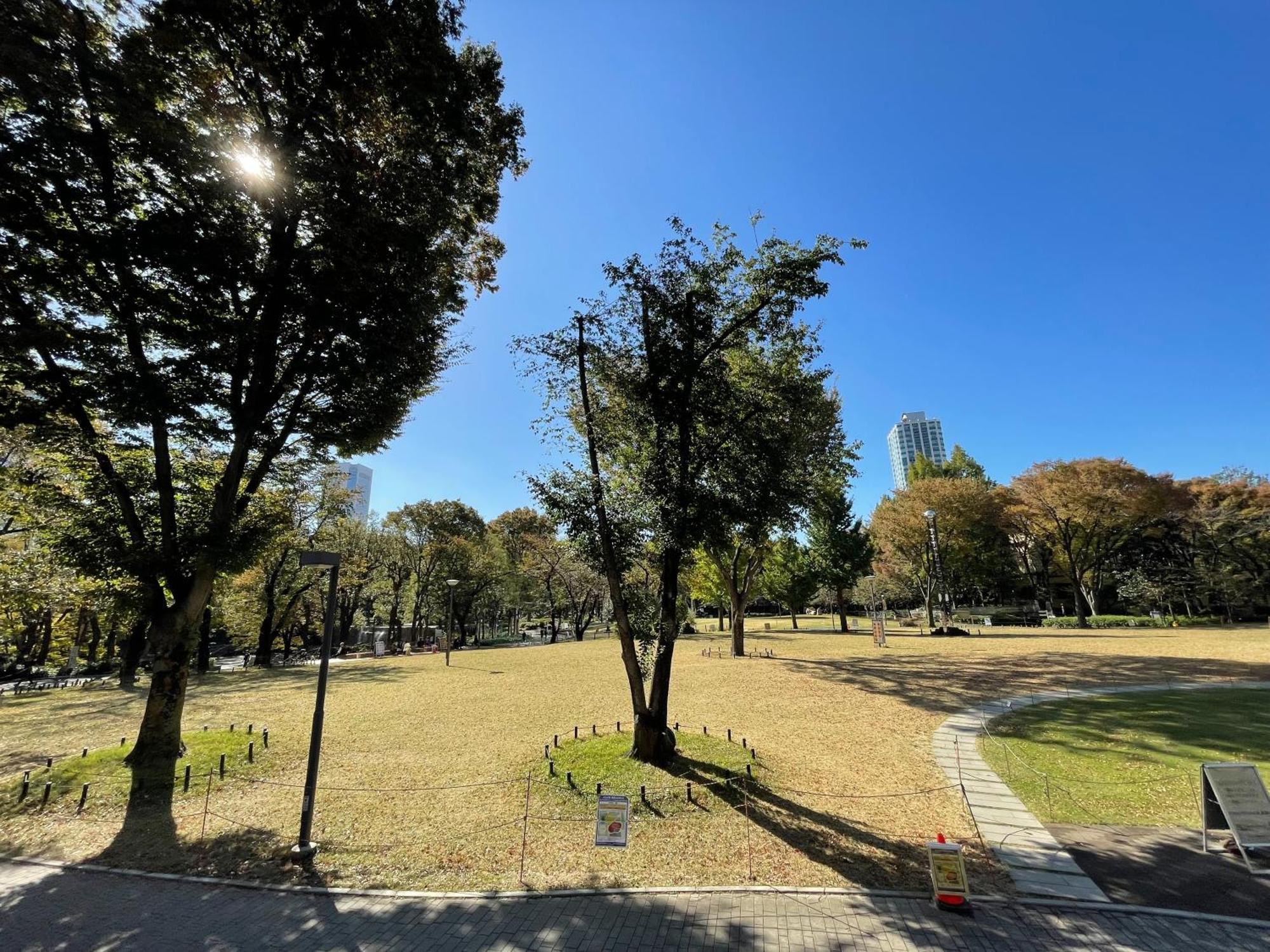 Max4People Shinjuku 7Minutes Shibuya12 Minutes 5Minutes Walk From Hatsudai Station Leon Resort Shibuya Tokyo Eksteriør billede